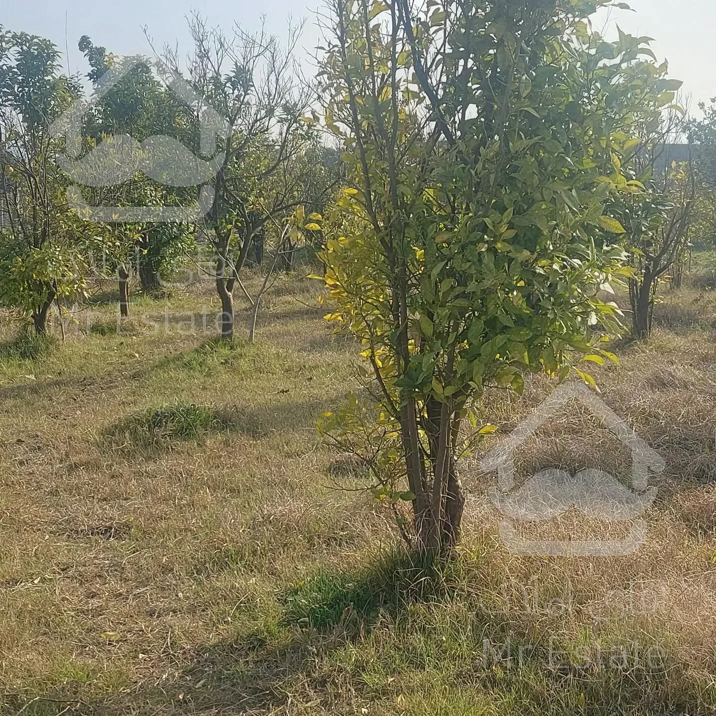 فروش زمین متراژ ۳۵۰