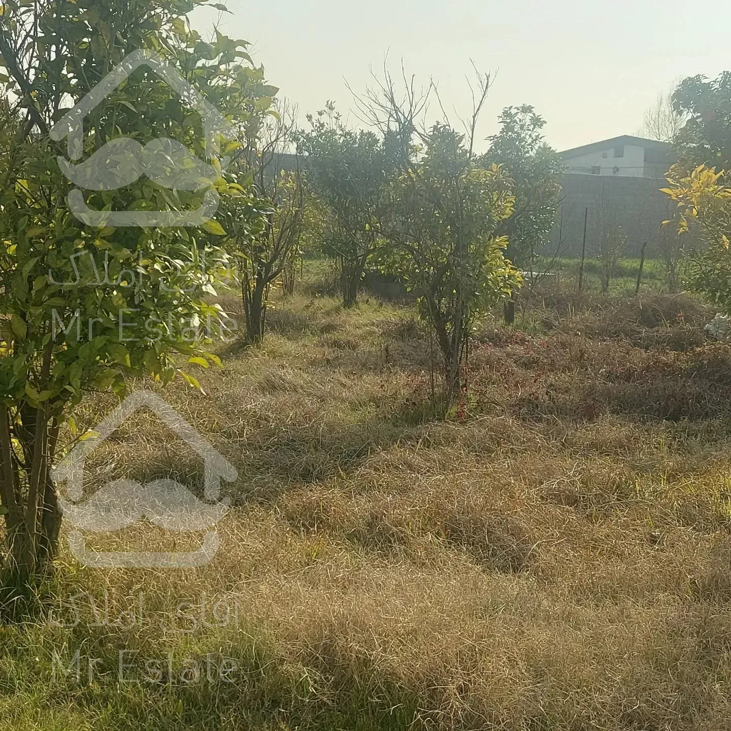 فروش زمین متراژ ۳۵۰