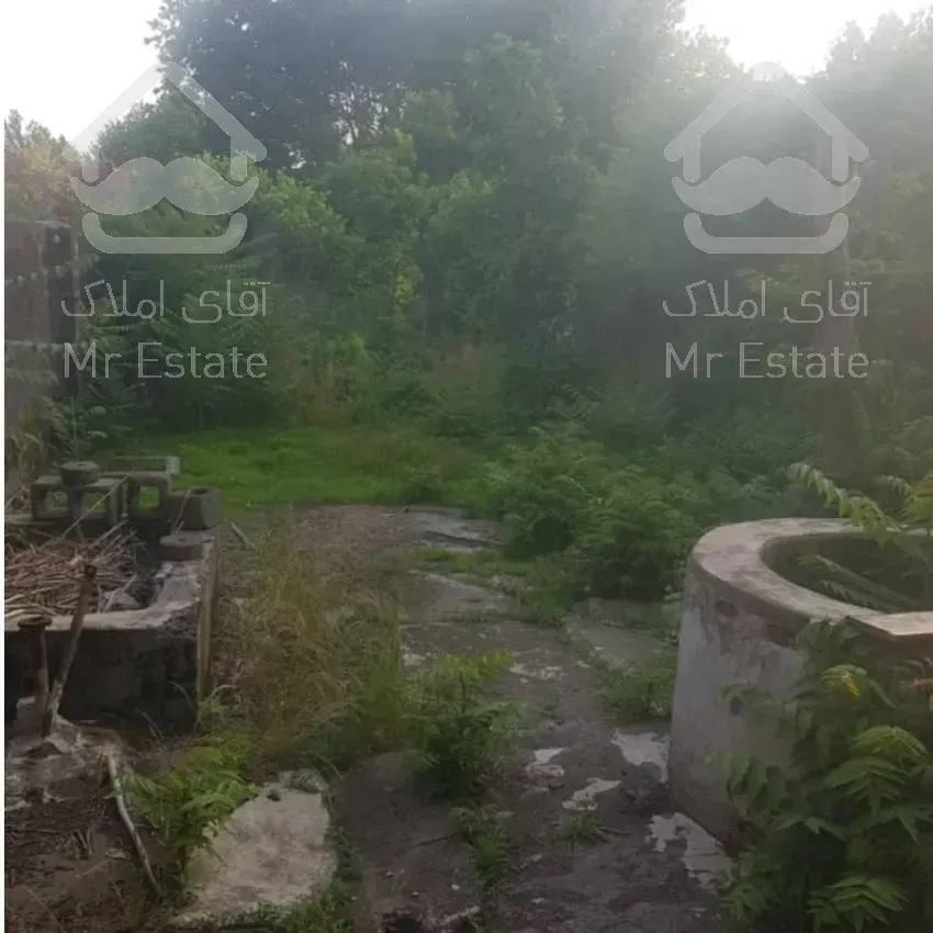 فروش ملک  در شمال کشور