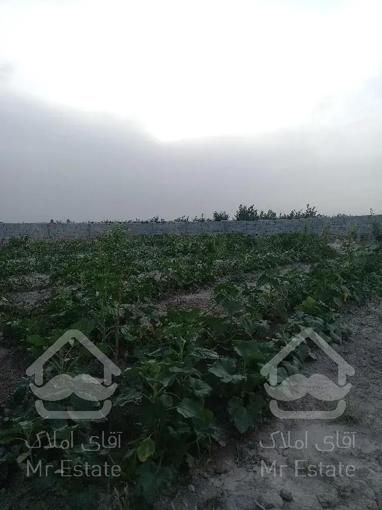 ۲۰۰۰مترزمین باغی