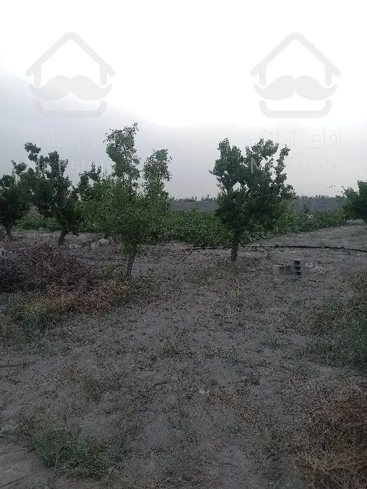 ۲۰۰۰مترزمین باغی