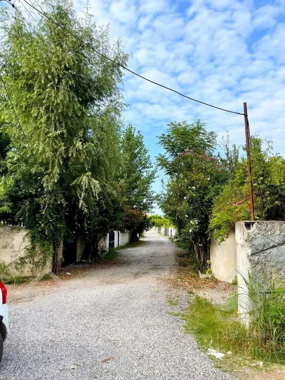 فروش ویژه ویلا پلاک یک جنگل