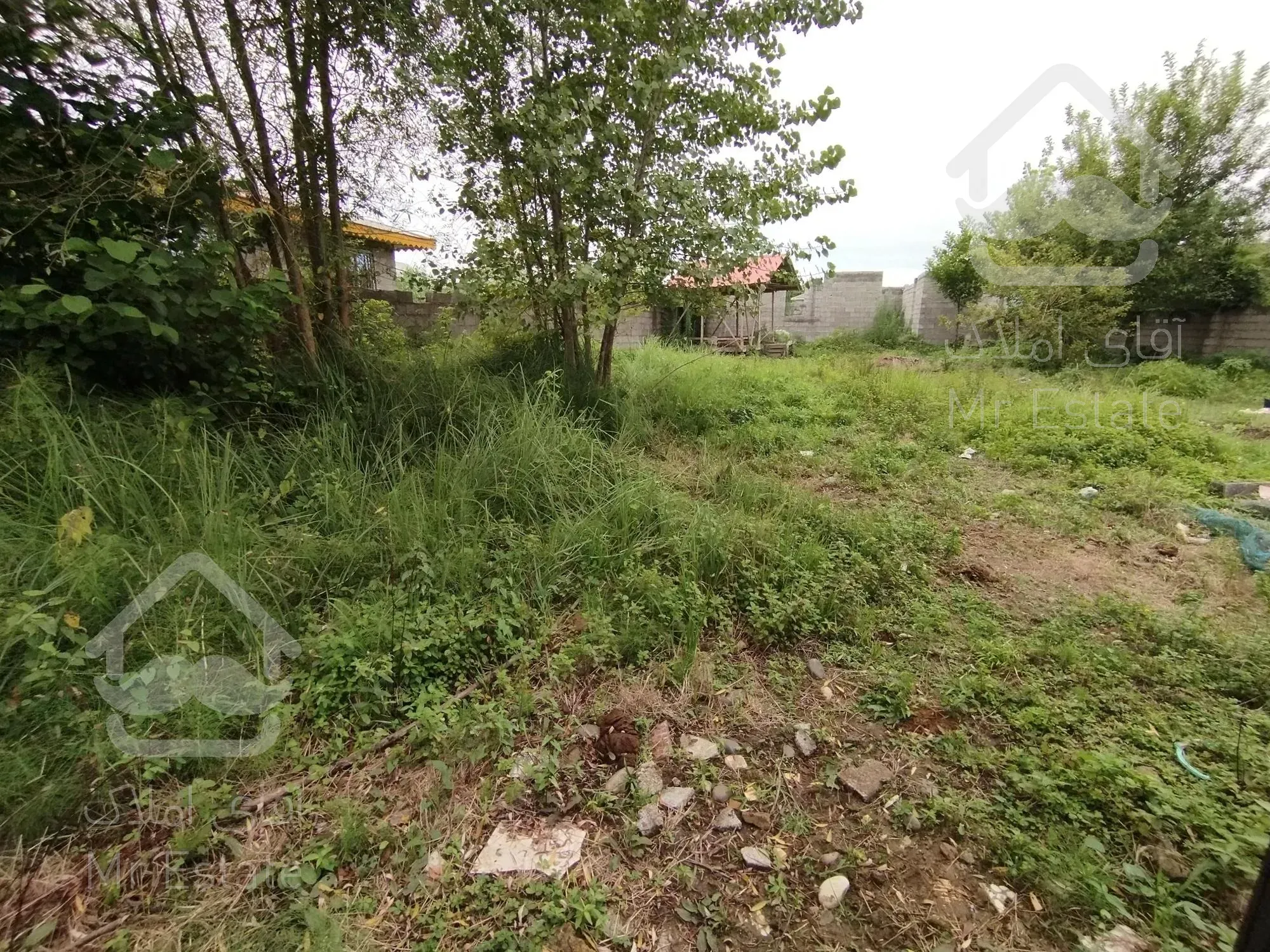 زمین زیبا کنار نوار دریا مناسب سرمایه گذاری