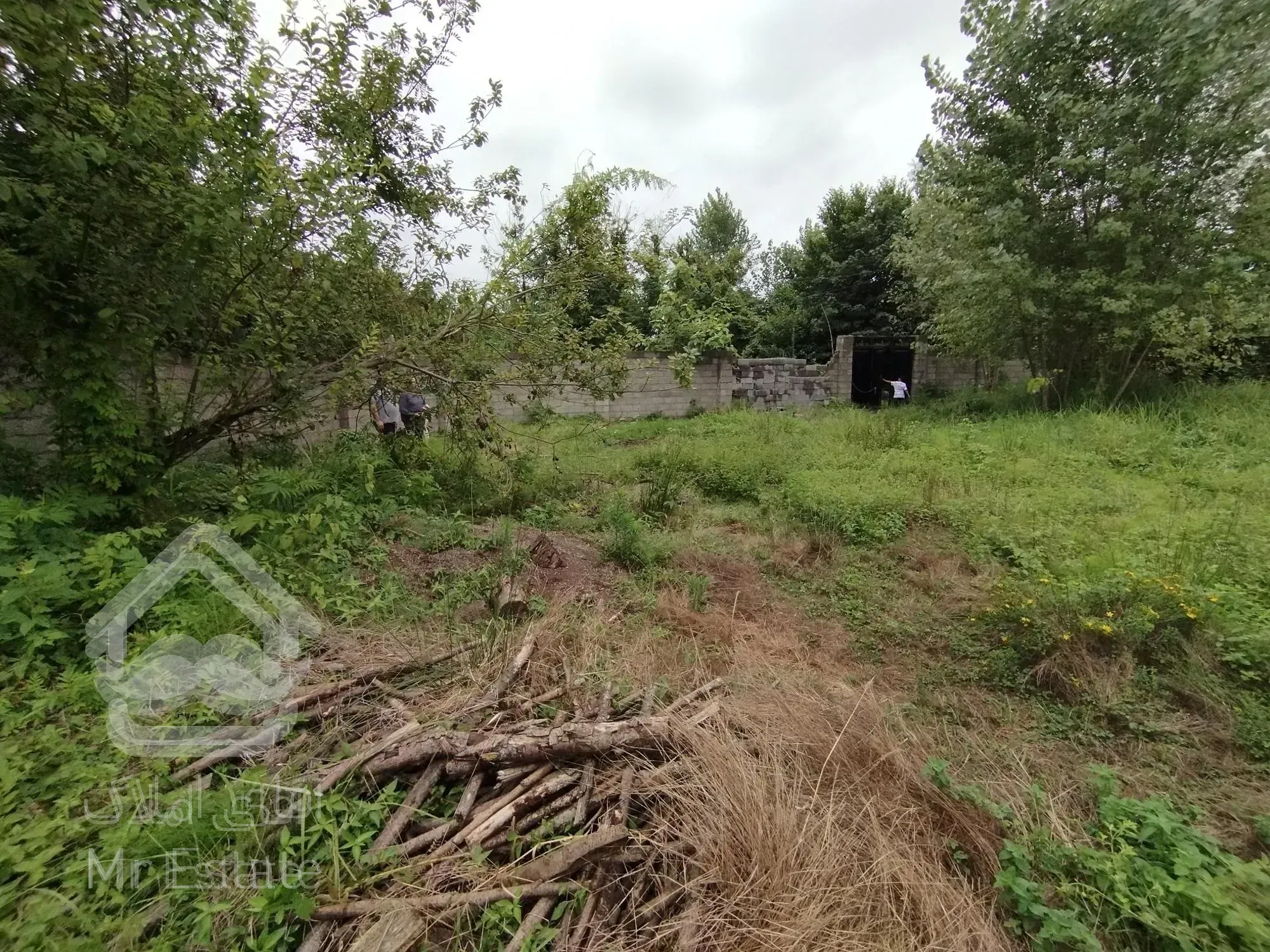 زمین زیبا کنار نوار دریا مناسب سرمایه گذاری