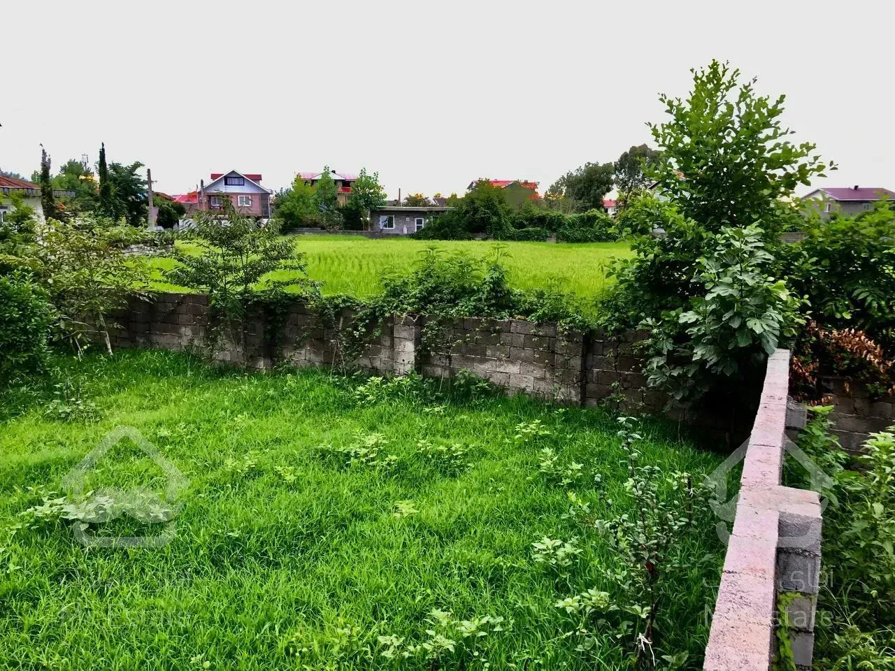 فروش زمین مسکونی / ۲۰۵ متر/ رضوانشهر