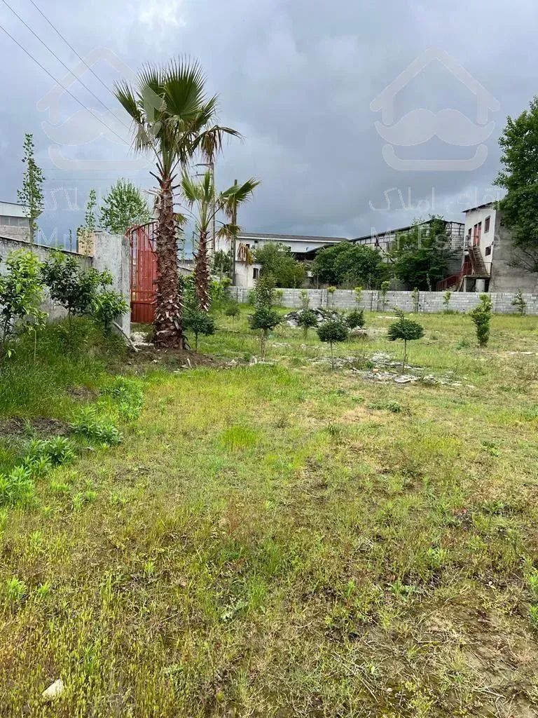 🌳🌳فروش ویژه زمین خط پلاک یک جنگل فقط متر۱۵۰۰🌳🌳