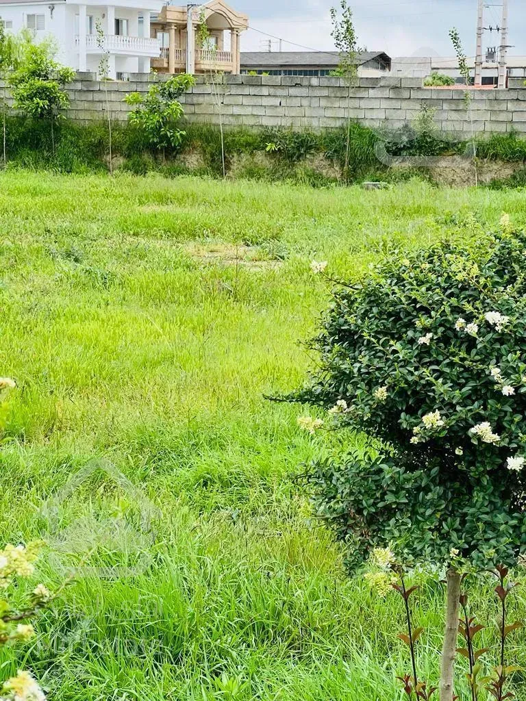 🌳🌳فروش ویژه زمین خط پلاک یک جنگل فقط متر۱۵۰۰🌳🌳