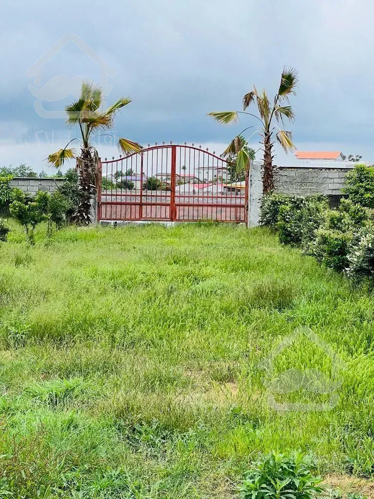 🌳🌳فروش ویژه زمین خط پلاک یک جنگل فقط متر۱۵۰۰🌳🌳