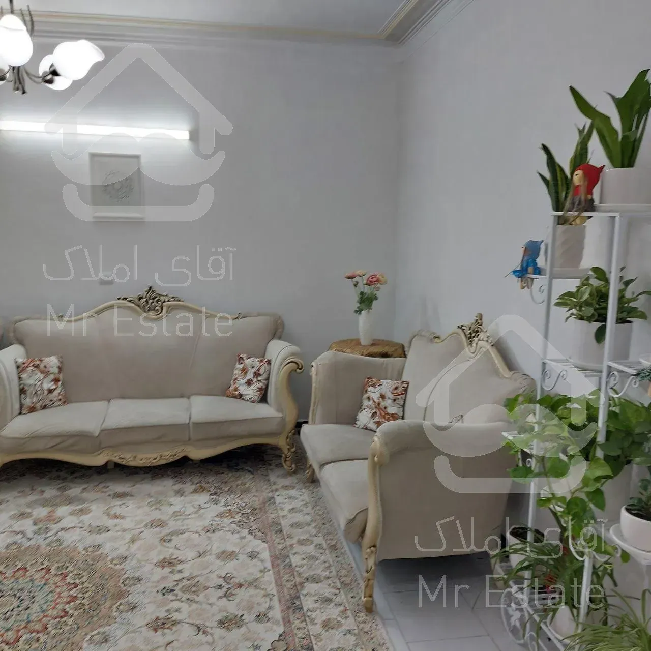 فوری ۴۵ متر بریانک