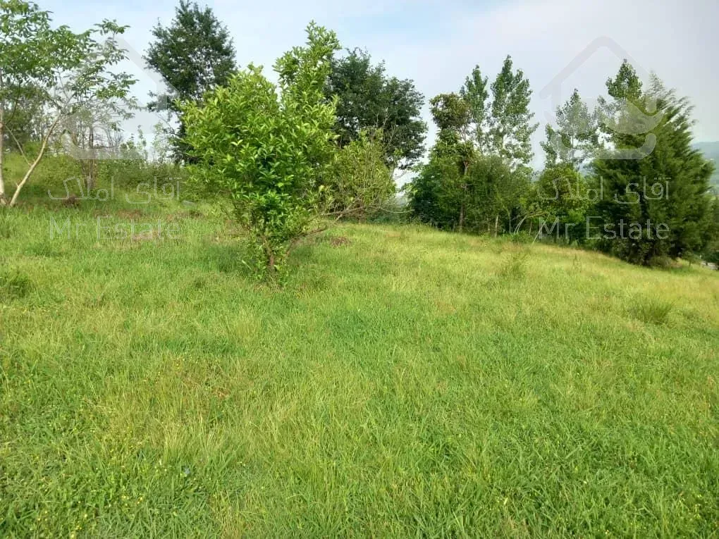 زمین ۵ هکتاری مسکونی اطاقور