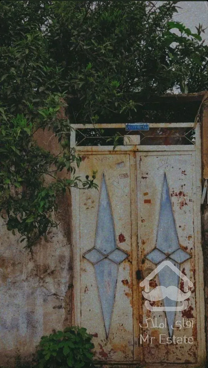 کلنگی جنوبی بر ۹ بالای میدان المپیک بوستان جوانمردان