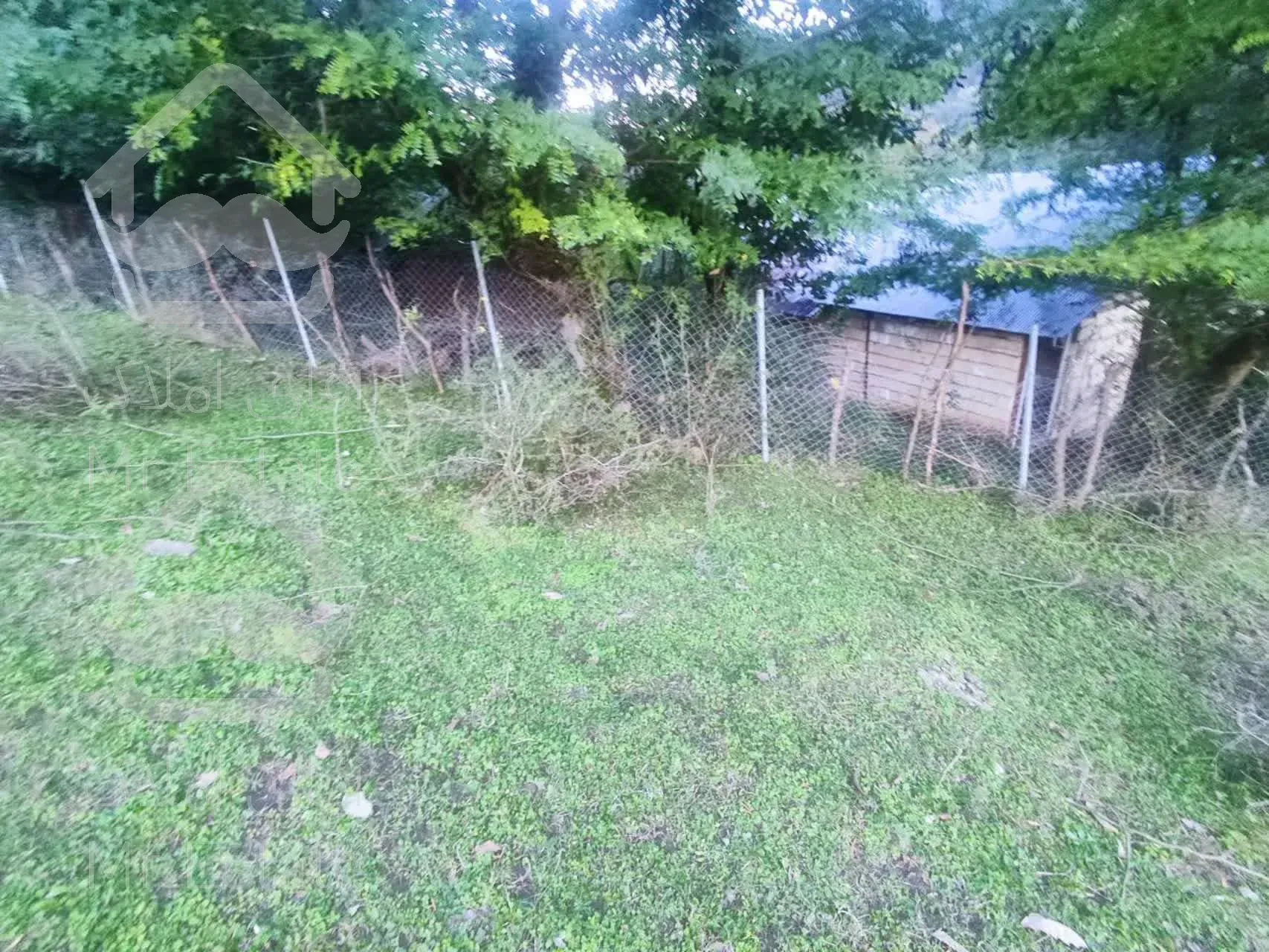 زمین ۶۳۲ متر مربع در شاندرمن زیبا (کارگزاری نسل نو)