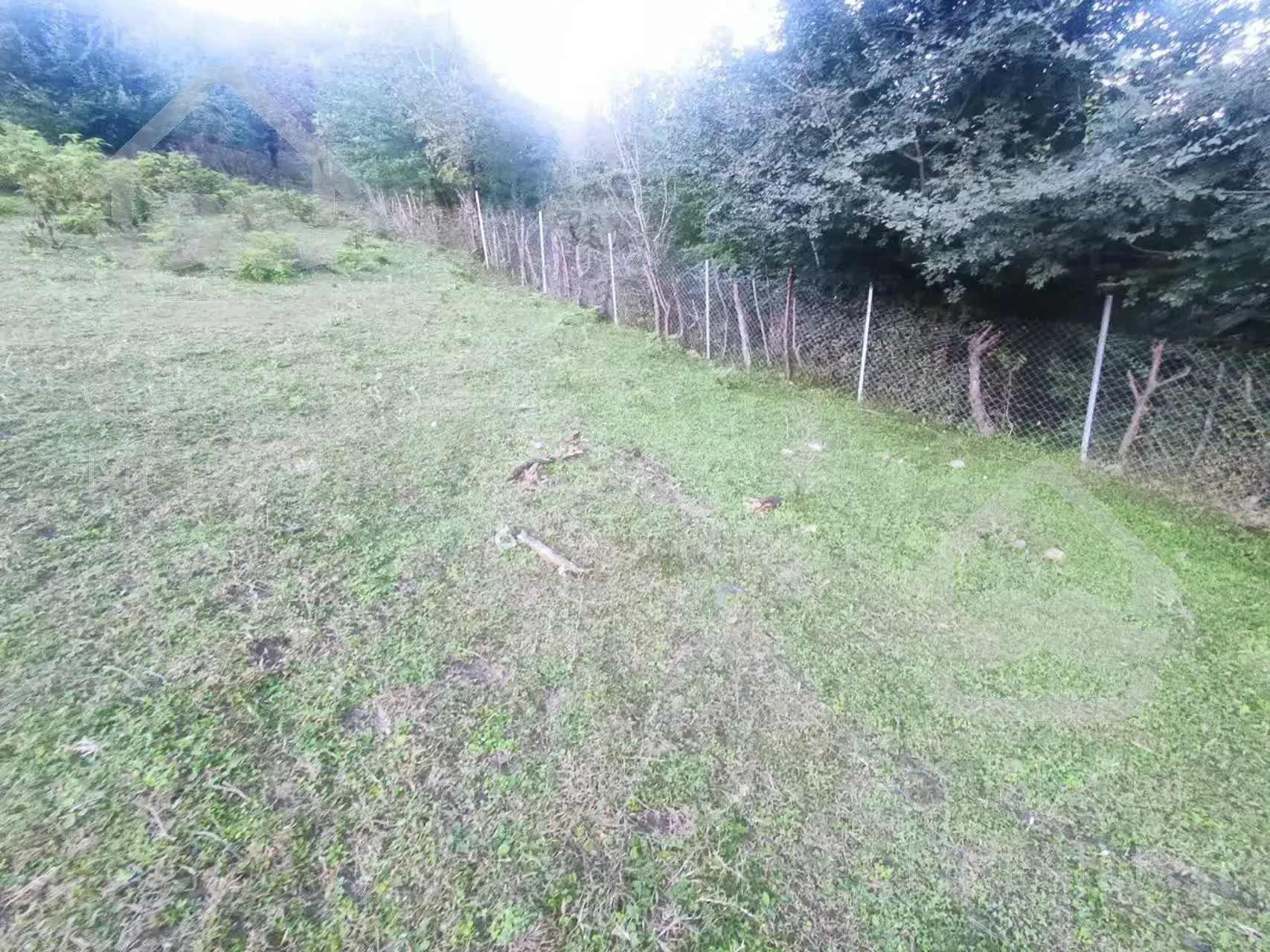 زمین ۶۳۲ متر مربع در شاندرمن زیبا (کارگزاری نسل نو)