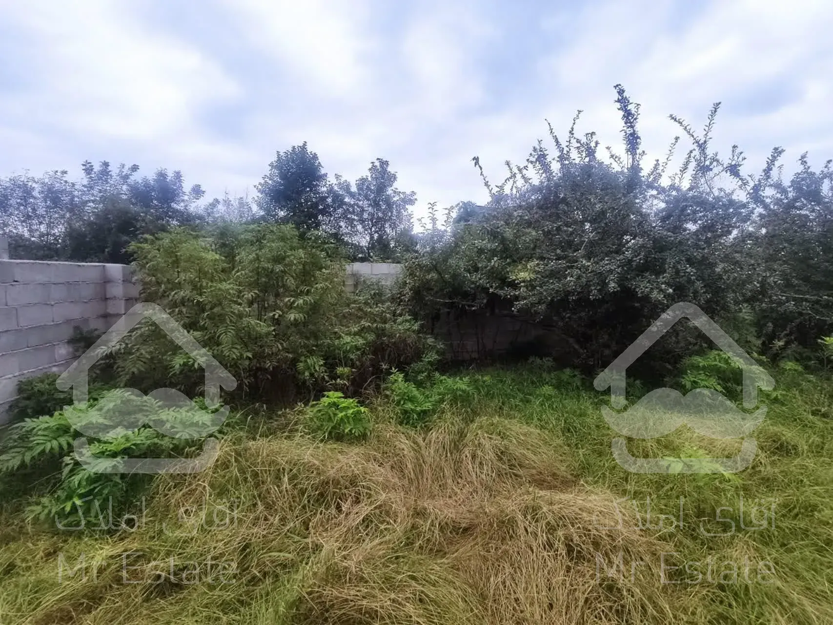 زمین به مساحت ۳۰۰ متر مربع در شاندرمن زیبا (کارگزاری نسل نو)