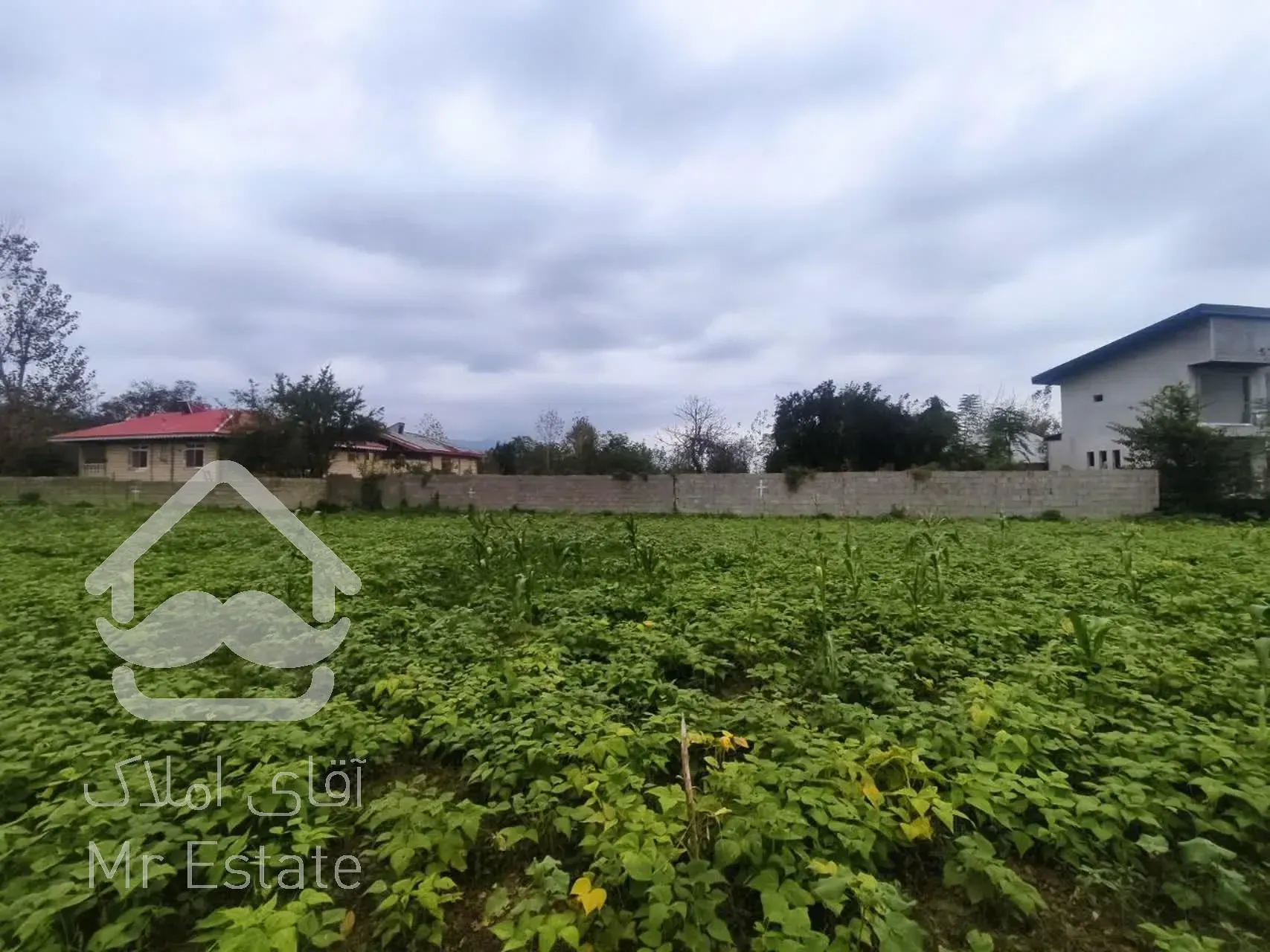 زمین به مساحت ۳۰۰ متر مربع در شاندرمن زیبا (کارگزاری نسل نو)