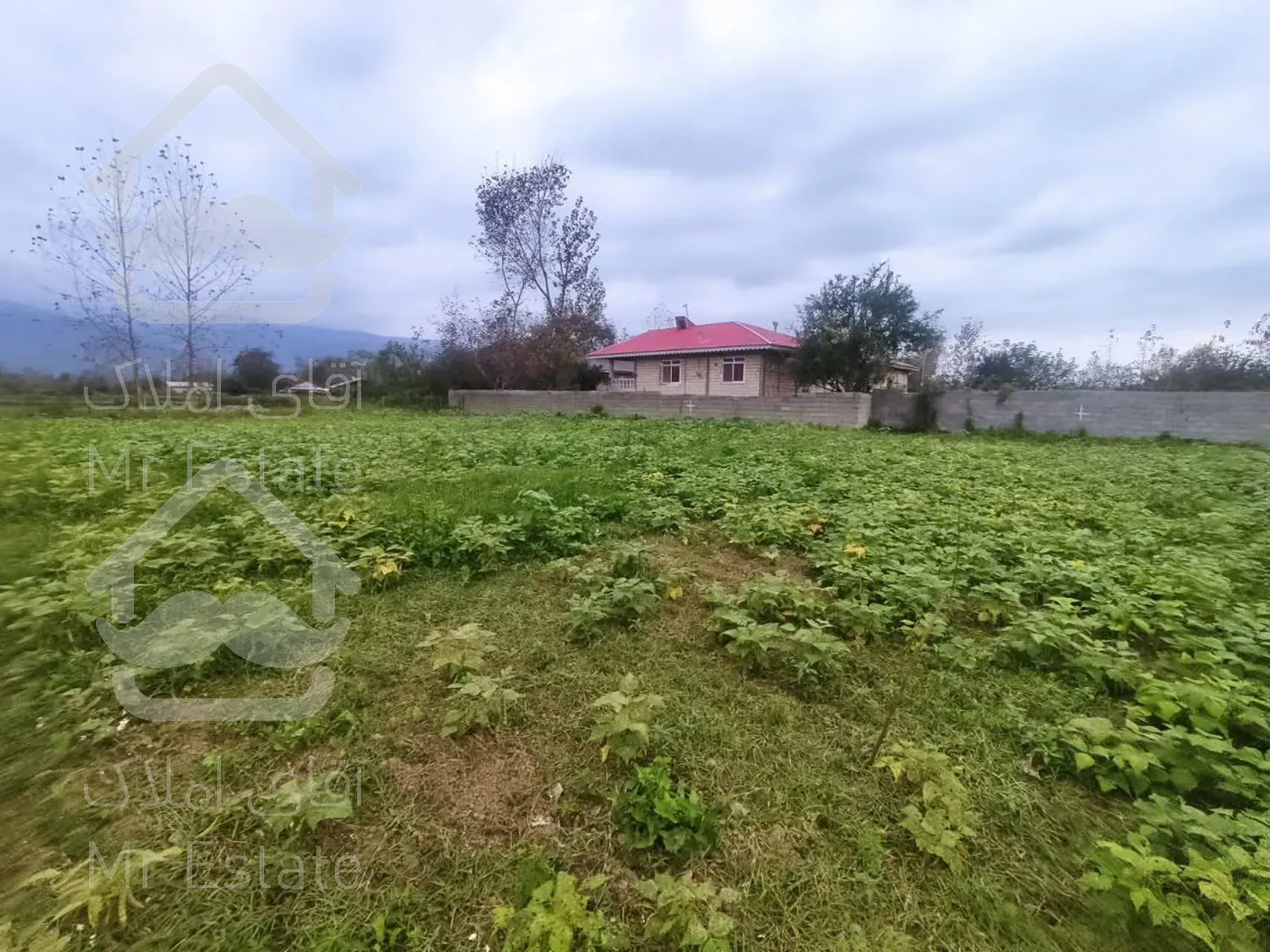 زمین به مساحت ۳۰۰ متر مربع در شاندرمن زیبا (کارگزاری نسل نو)
