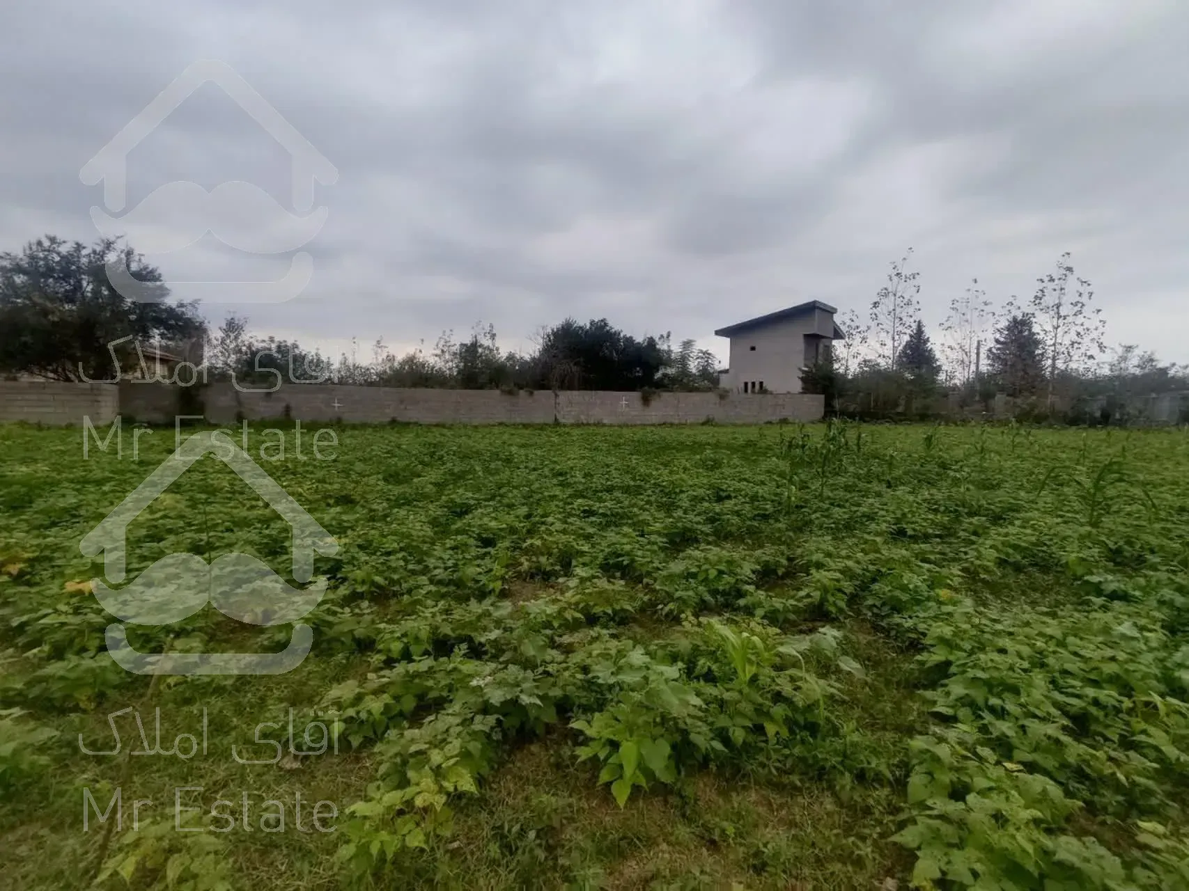 زمین به مساحت ۳۰۰ متر مربع در شاندرمن زیبا (کارگزاری نسل نو)