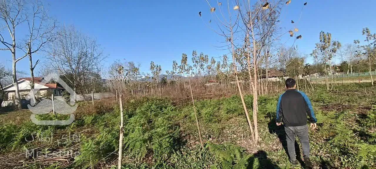 زمین ۴۰۰ متری ۳۴۴ متر مسکونی +۵۶ متر باغات در شاندرمن زیبا (کارگزاری نسل نو)