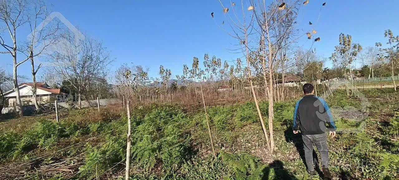 زمین ۴۰۰ متری ۳۴۴ متر مسکونی +۵۶ متر باغات در شاندرمن زیبا (کارگزاری نسل نو)