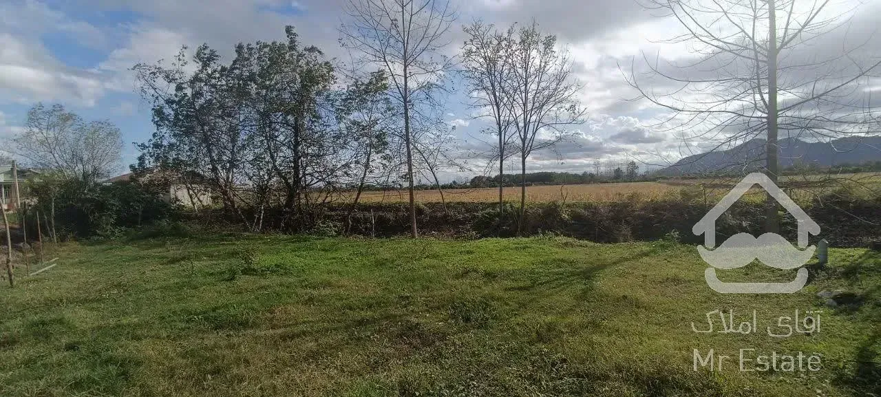 زمین ۲۳۰ متری در شاندرمن زیبا (کارگزاری نسل نو)