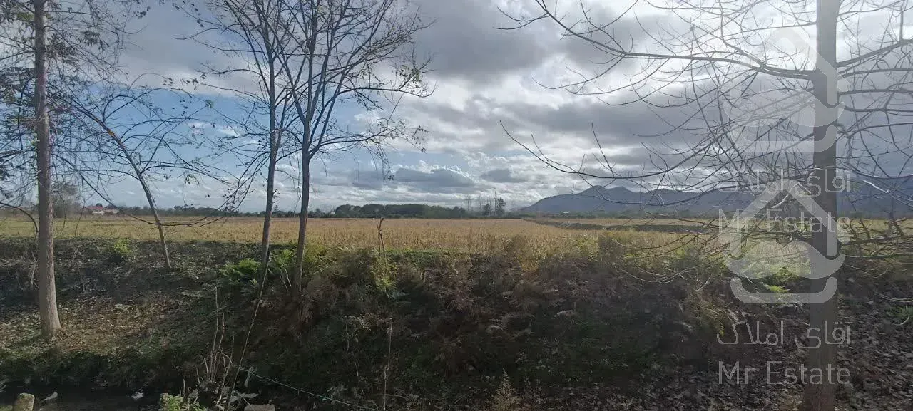 زمین ۲۳۰ متری در شاندرمن زیبا (کارگزاری نسل نو)