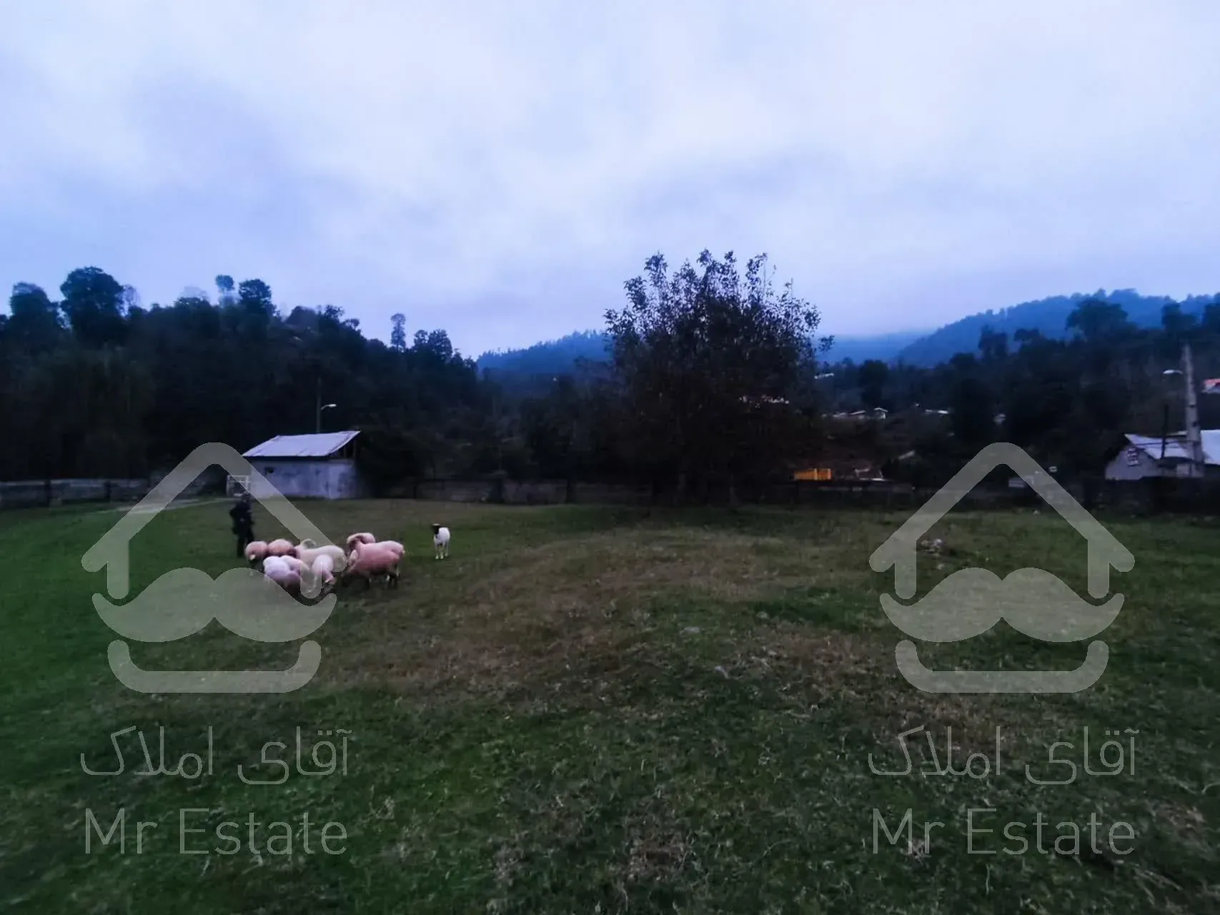 فروش ۲۵۰ متر زمین (کارگزاری نسل نو)