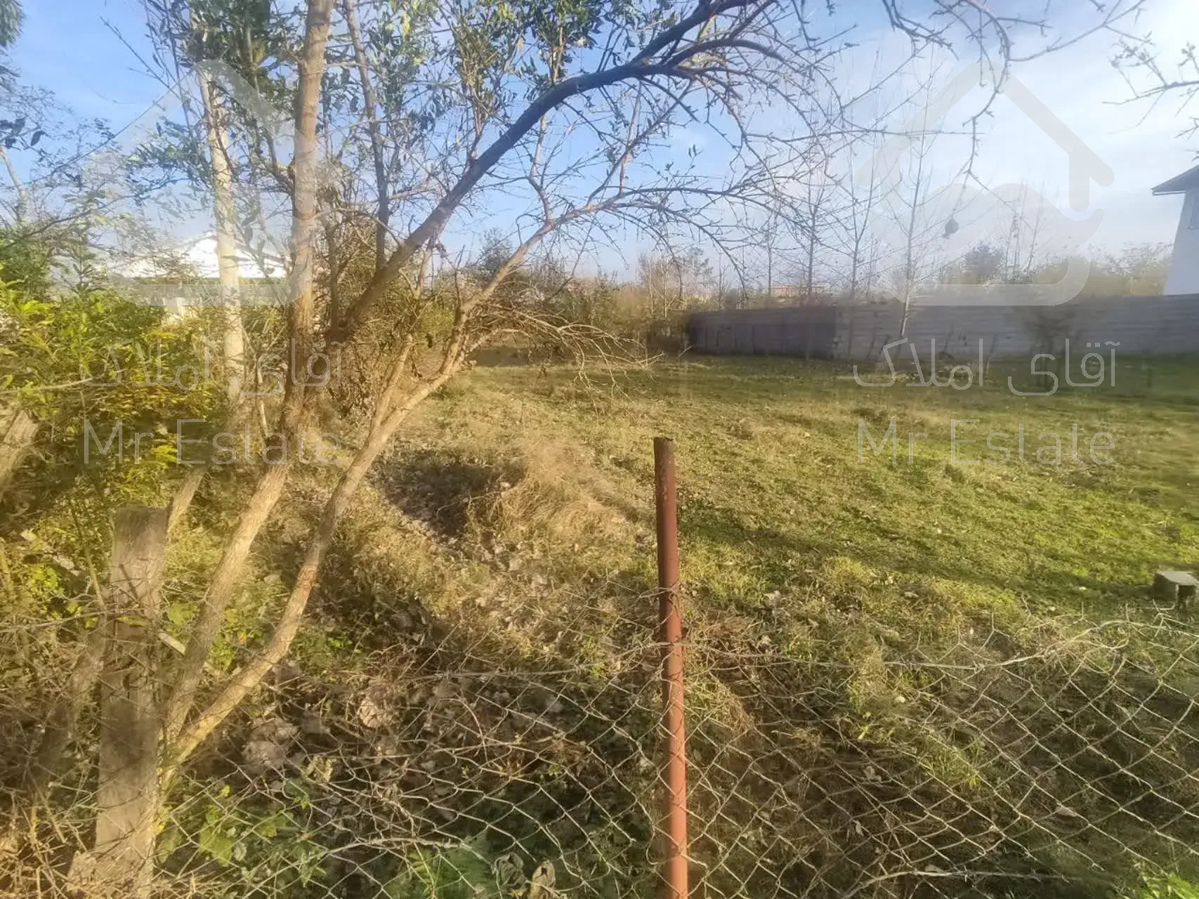 فروش ۹۶۰ متر زمین در شاندرمن زیبا (کارگزاری نسل نو) (