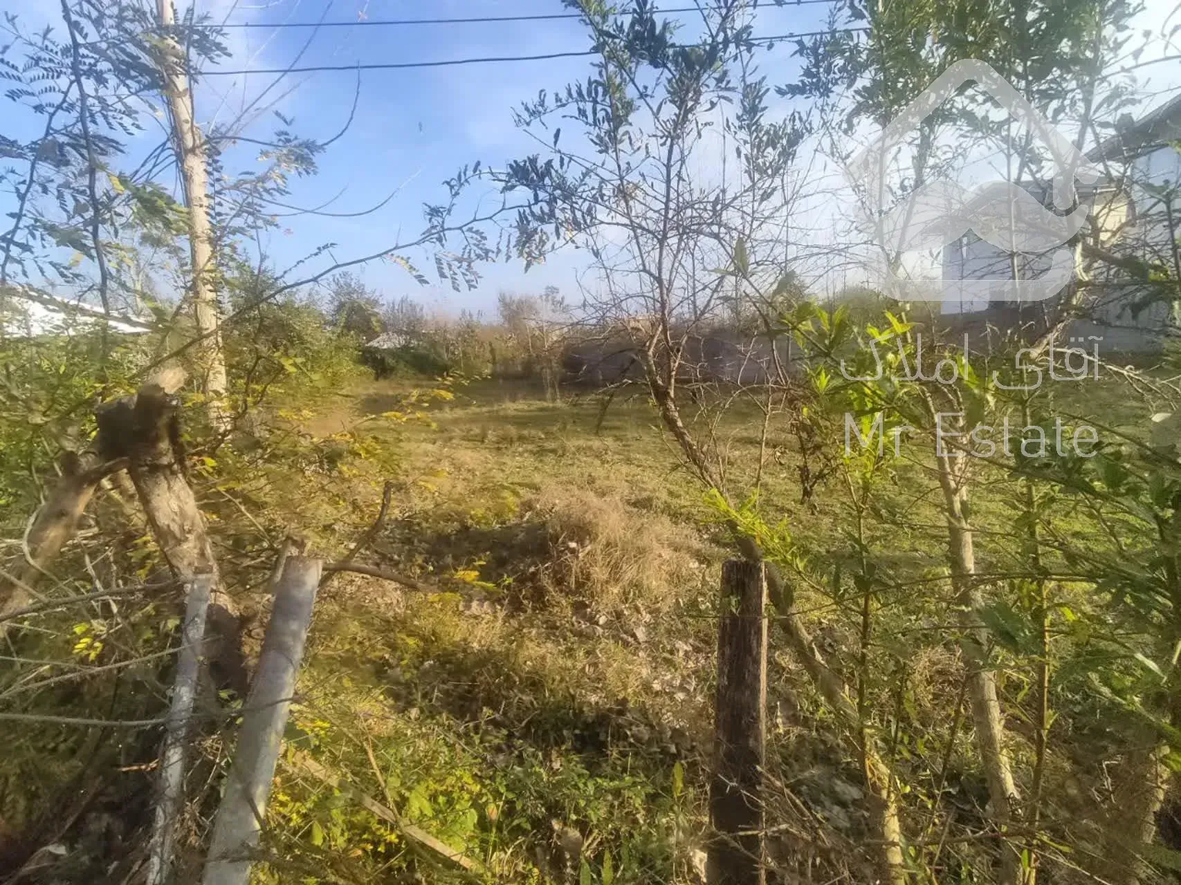 فروش ۹۶۰ متر زمین در شاندرمن زیبا (کارگزاری نسل نو) (