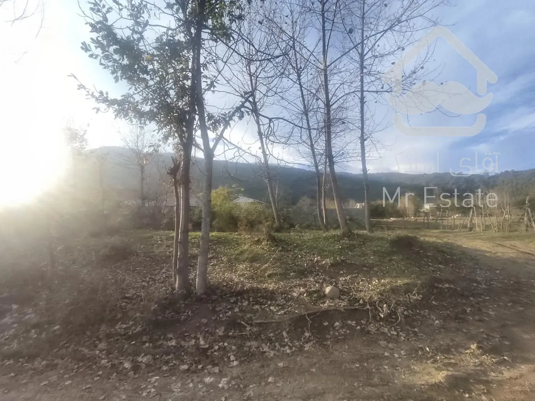 فروش ۹۶۰ متر زمین در شاندرمن زیبا (کارگزاری نسل نو) (