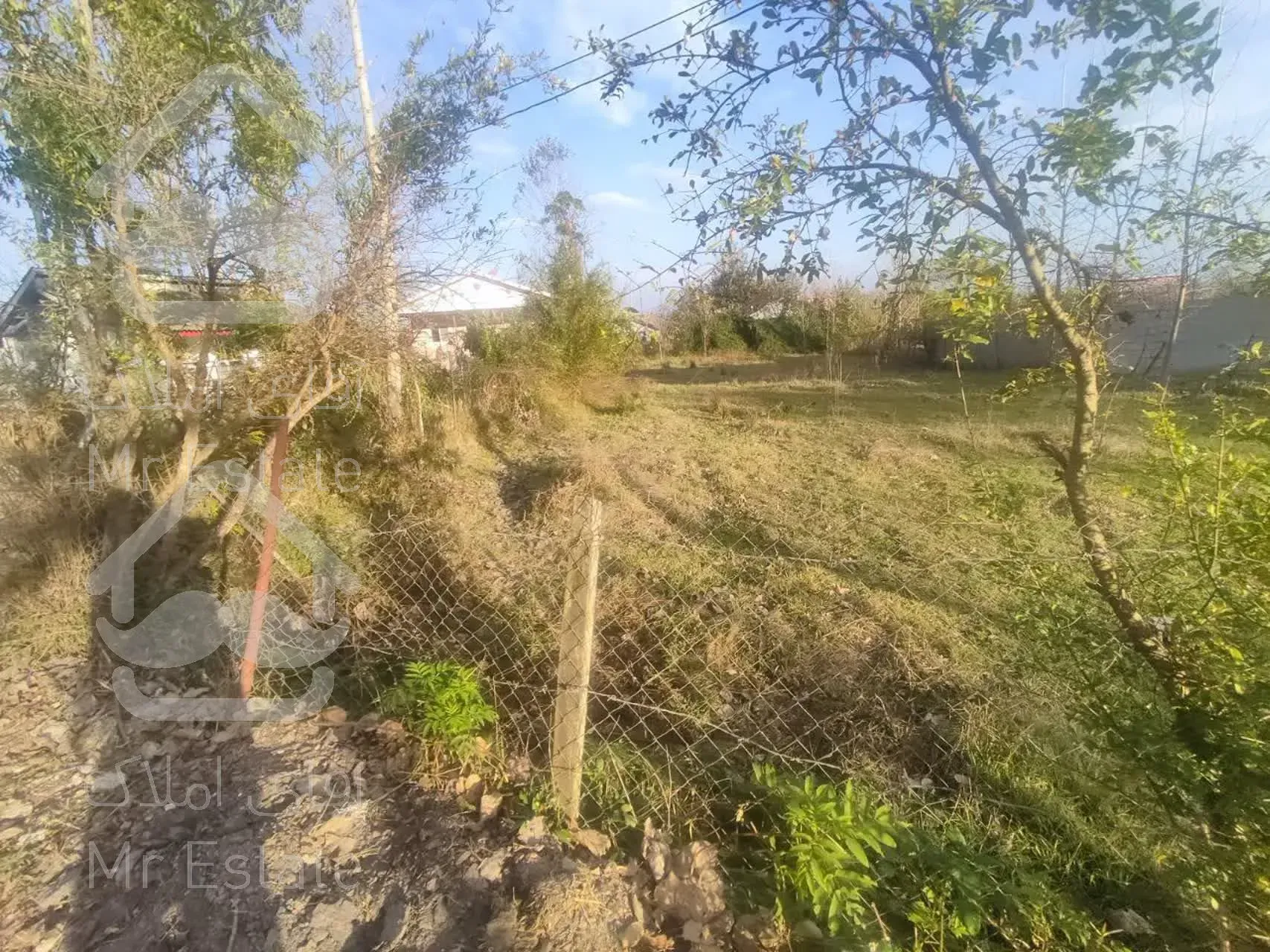 فروش ۹۶۰ متر زمین در شاندرمن زیبا (کارگزاری نسل نو) (