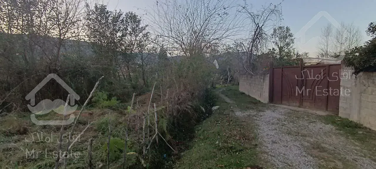 فروش ۲۹۰ متر زمین در شاندرمن زیبا (کارگزاری نسل نو)