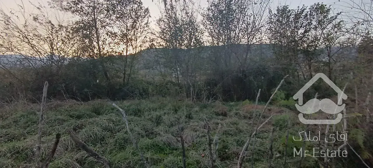 فروش ۲۹۰ متر زمین در شاندرمن زیبا (کارگزاری نسل نو)