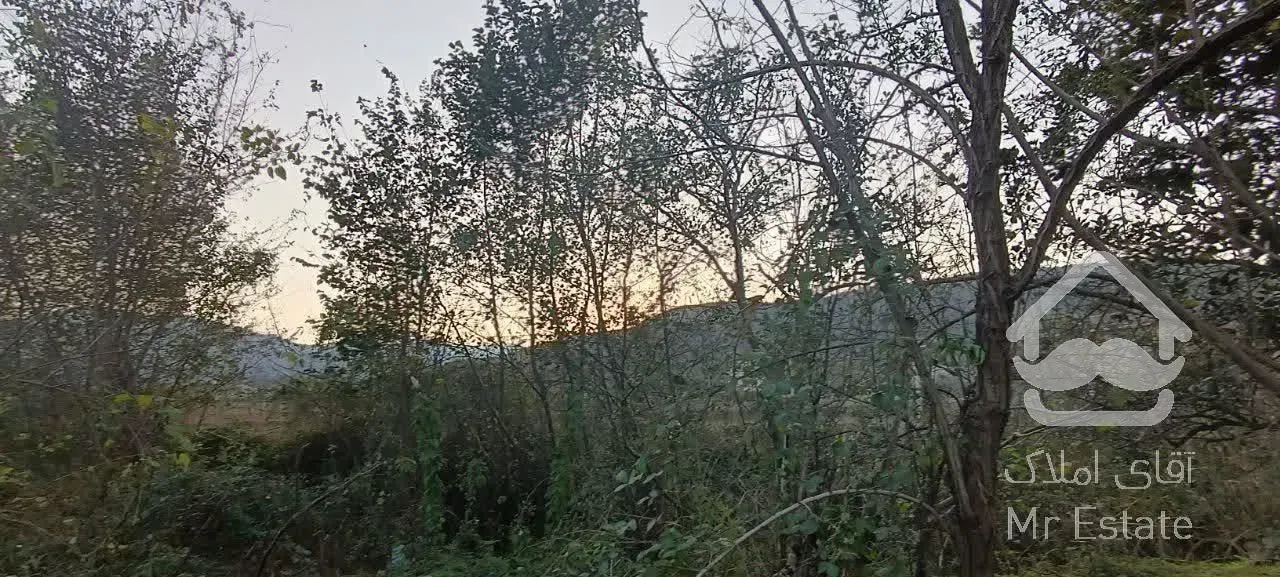 فروش ۲۹۰ متر زمین در شاندرمن زیبا (کارگزاری نسل نو)