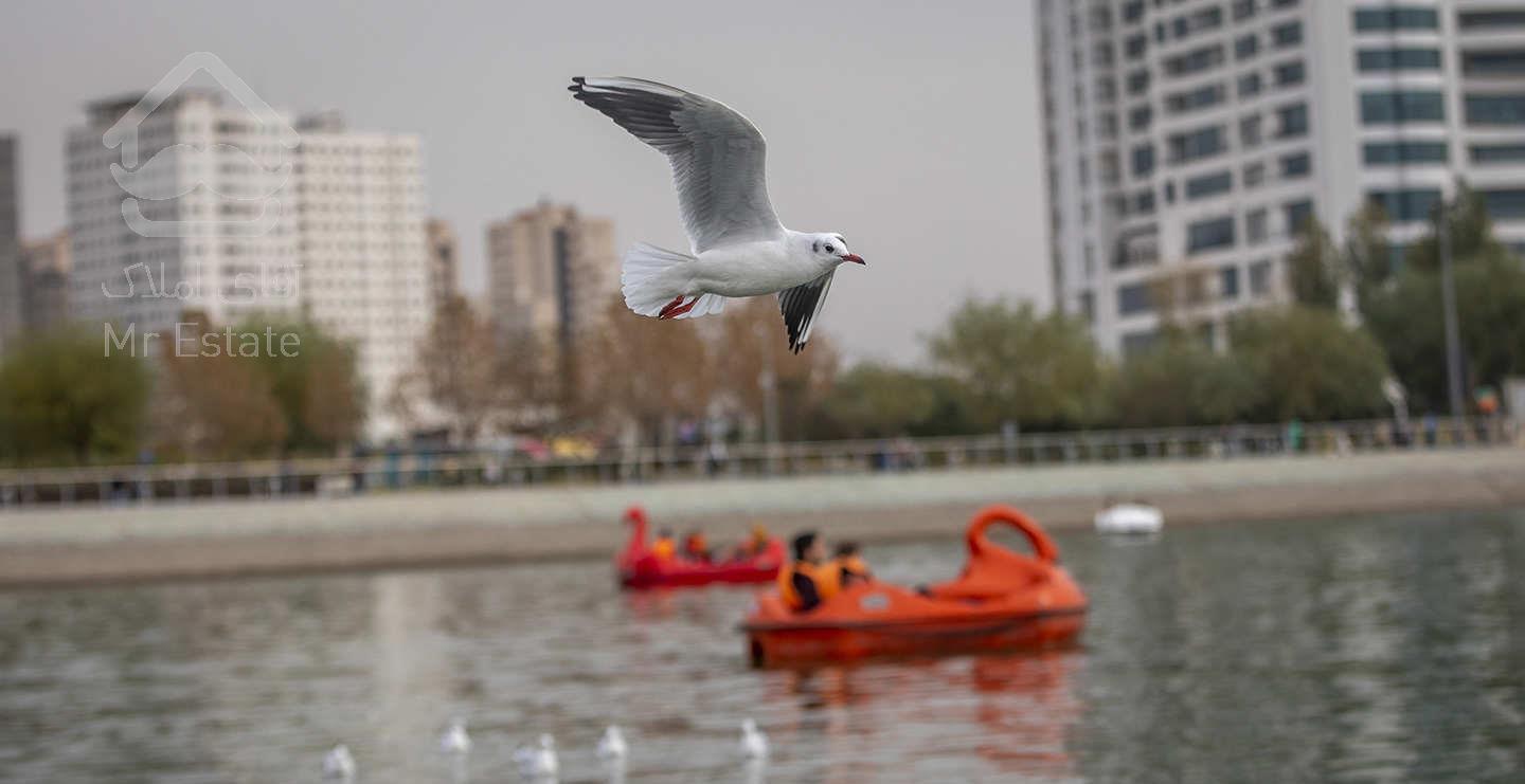 ۸۰ متری کنار دریاچه غرق نور اقساطی