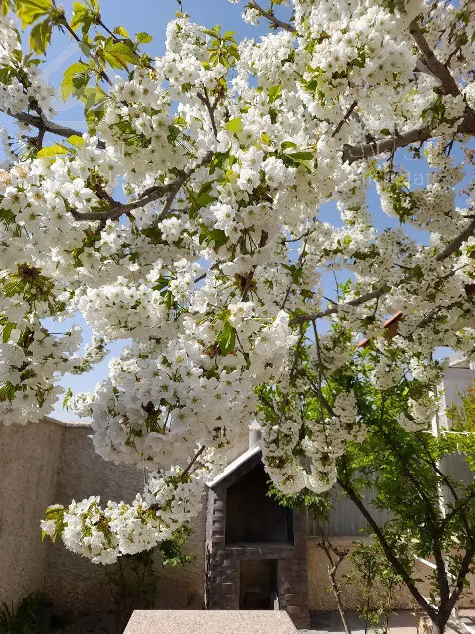 فروش ویلا باغ 869 متری دماوند