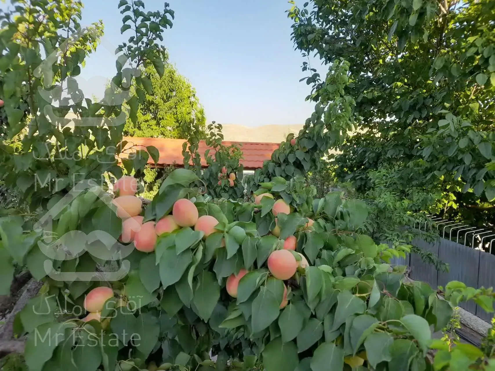 فروش ویلا باغ 869 متری دماوند