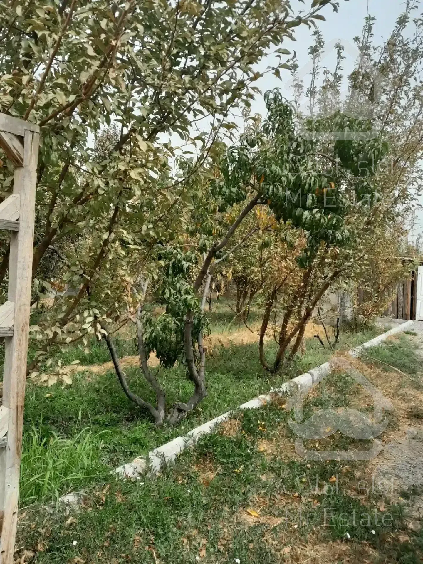 باغ ۱۰۰۰متری