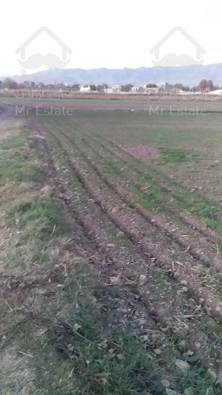 زمین هکتاری تهاتر با تهران