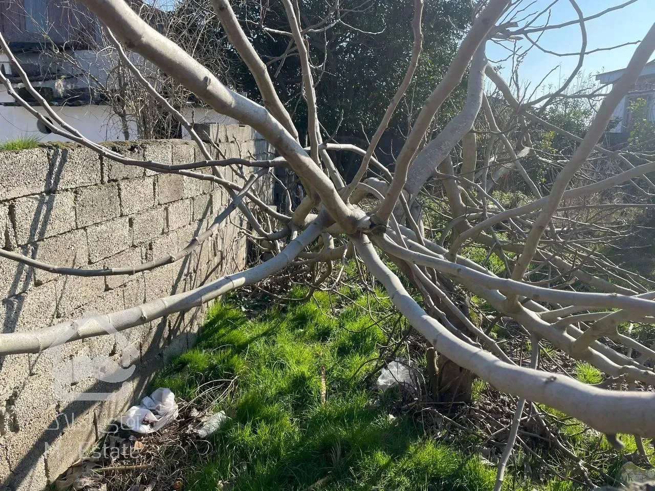 ۲۰۰متر زمین قابل ساخت با کاربری مسکونی