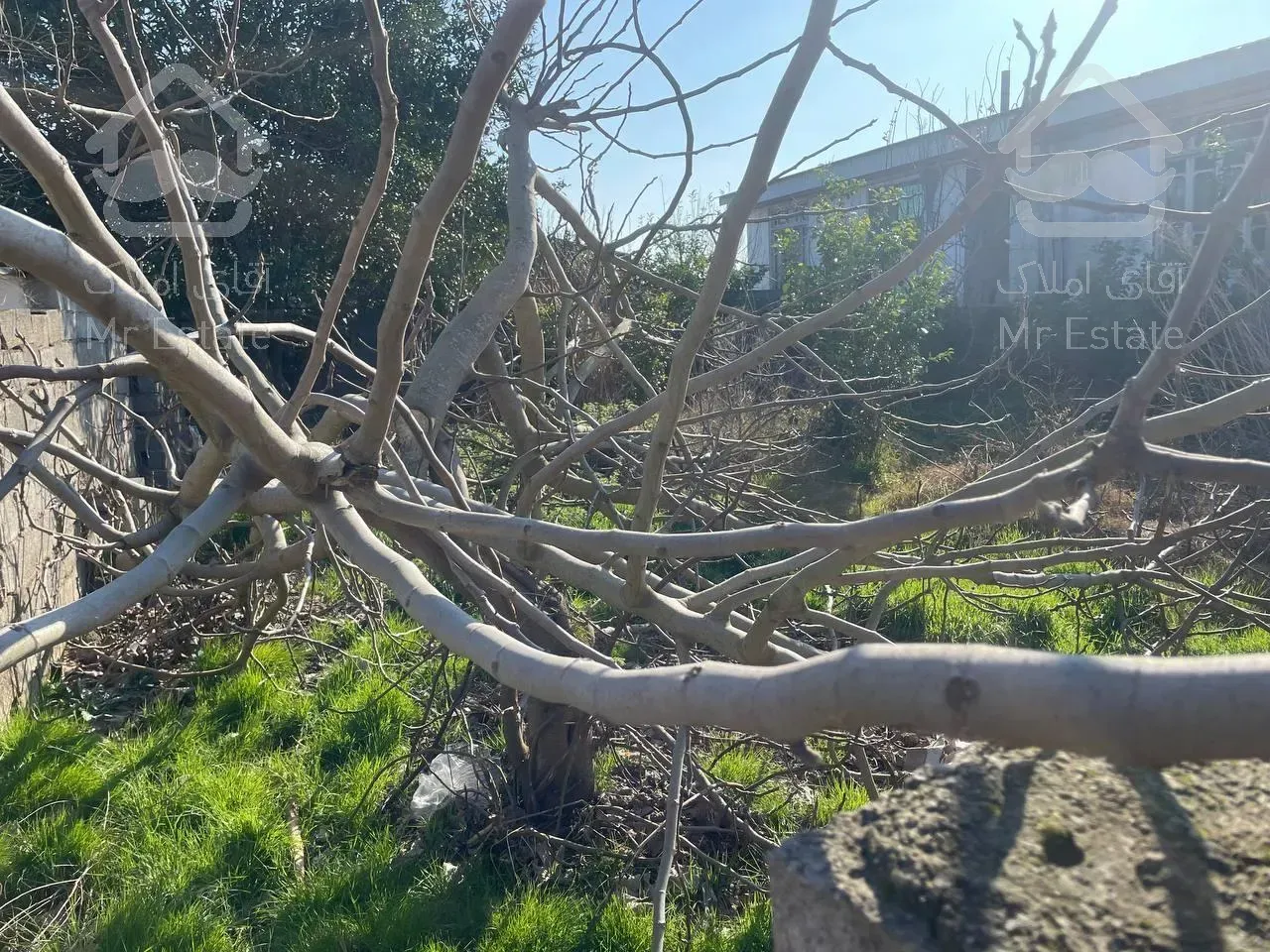 ۲۰۰متر زمین قابل ساخت با کاربری مسکونی