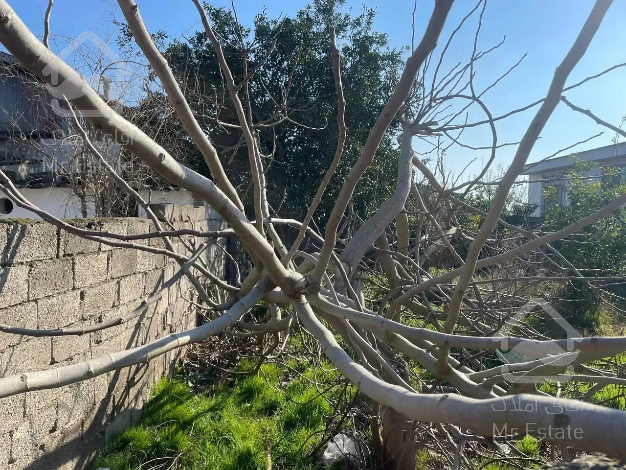 ۲۰۰متر زمین قابل ساخت با کاربری مسکونی