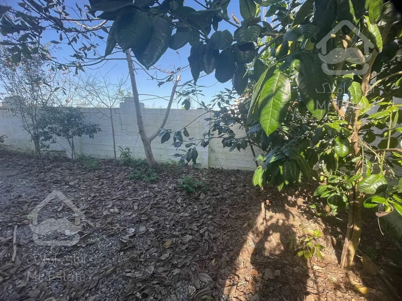 ویلا استخردار/سند تکبرگ/پروانه و پایان کار