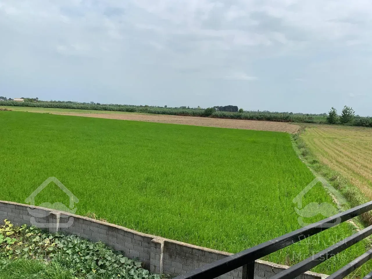 ویلا استخردار/آلاچیق/باربیکیو/شهرکی