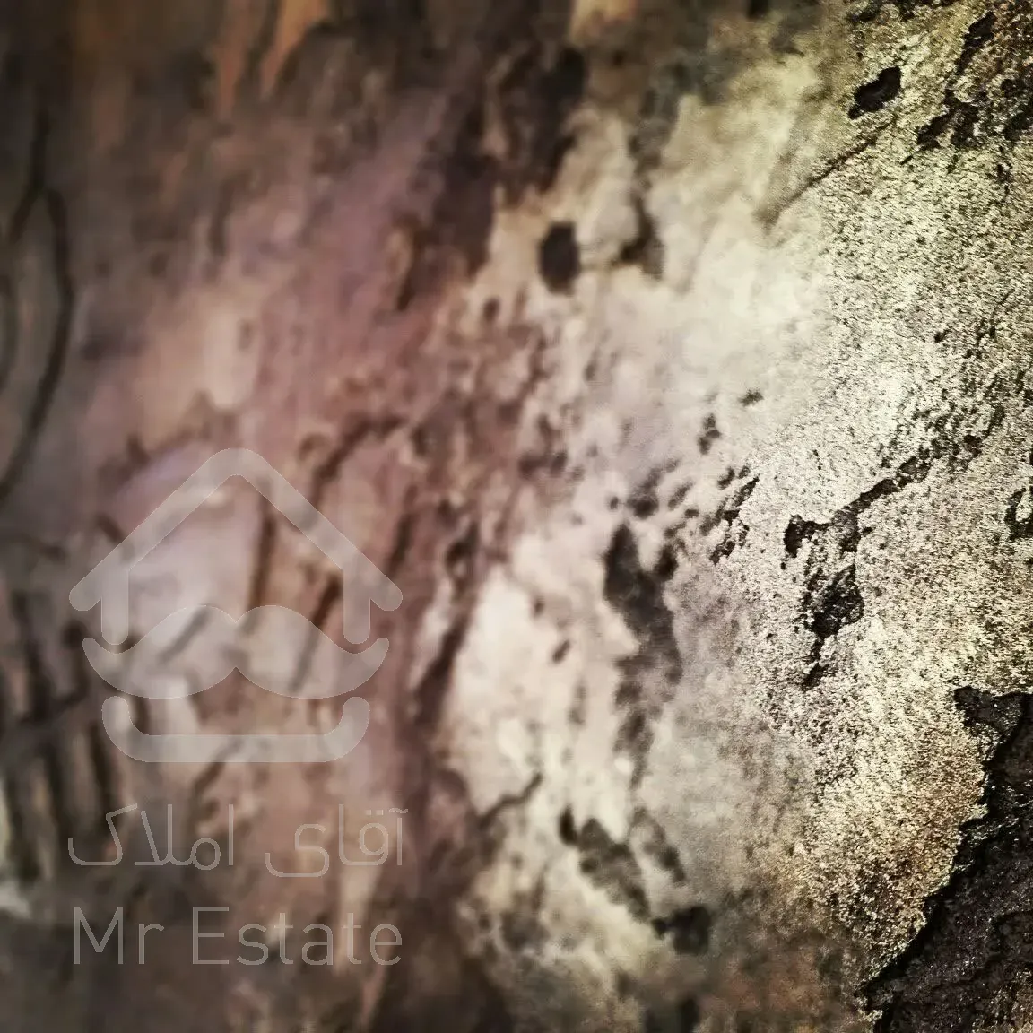 نقاشی تخصصی و ورق طلا