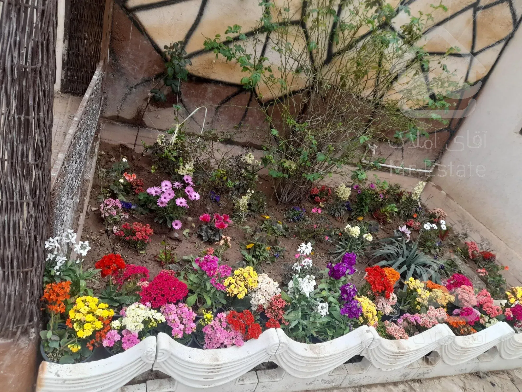 باغ ویلا شاهنامه۶۹(زاک و ماریان)