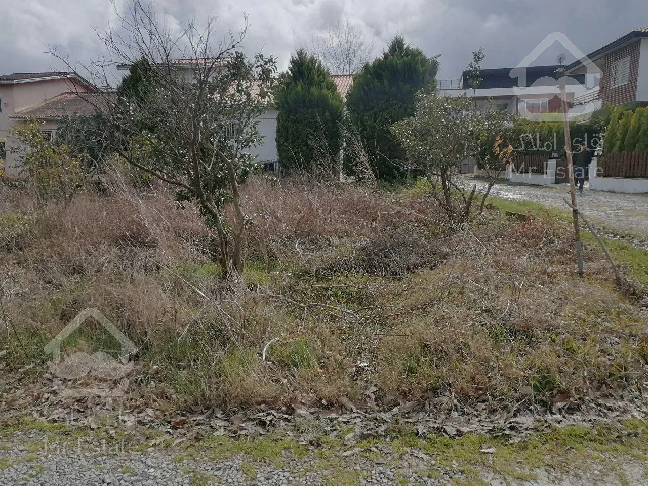 زمین سند دار