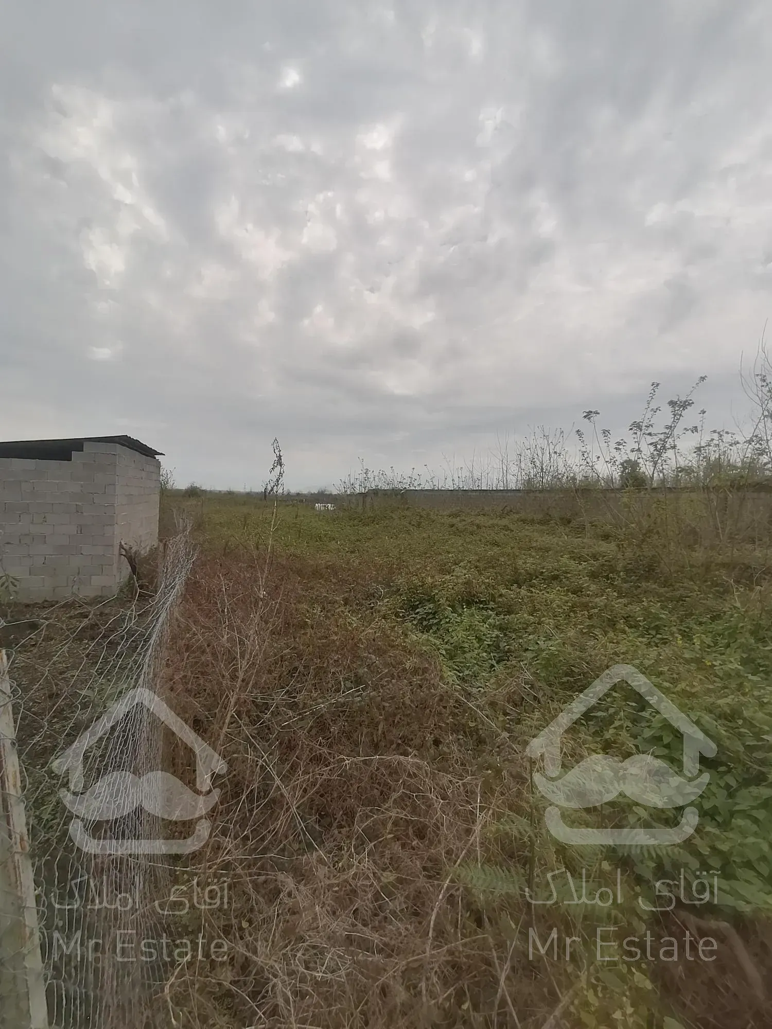 خرید زمین باغات (کیوی) دربندرانزلی