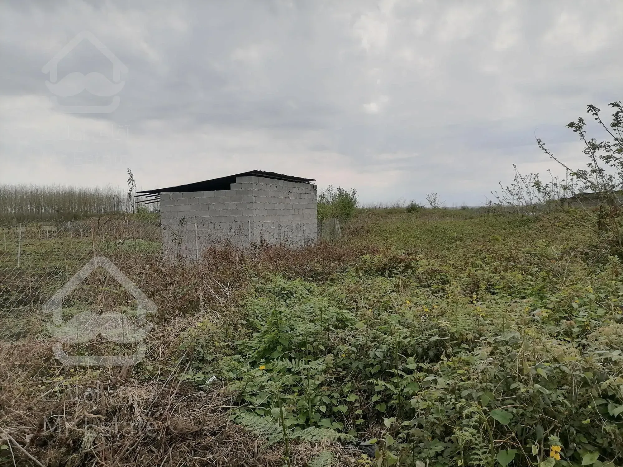 خرید زمین باغات (کیوی) دربندرانزلی