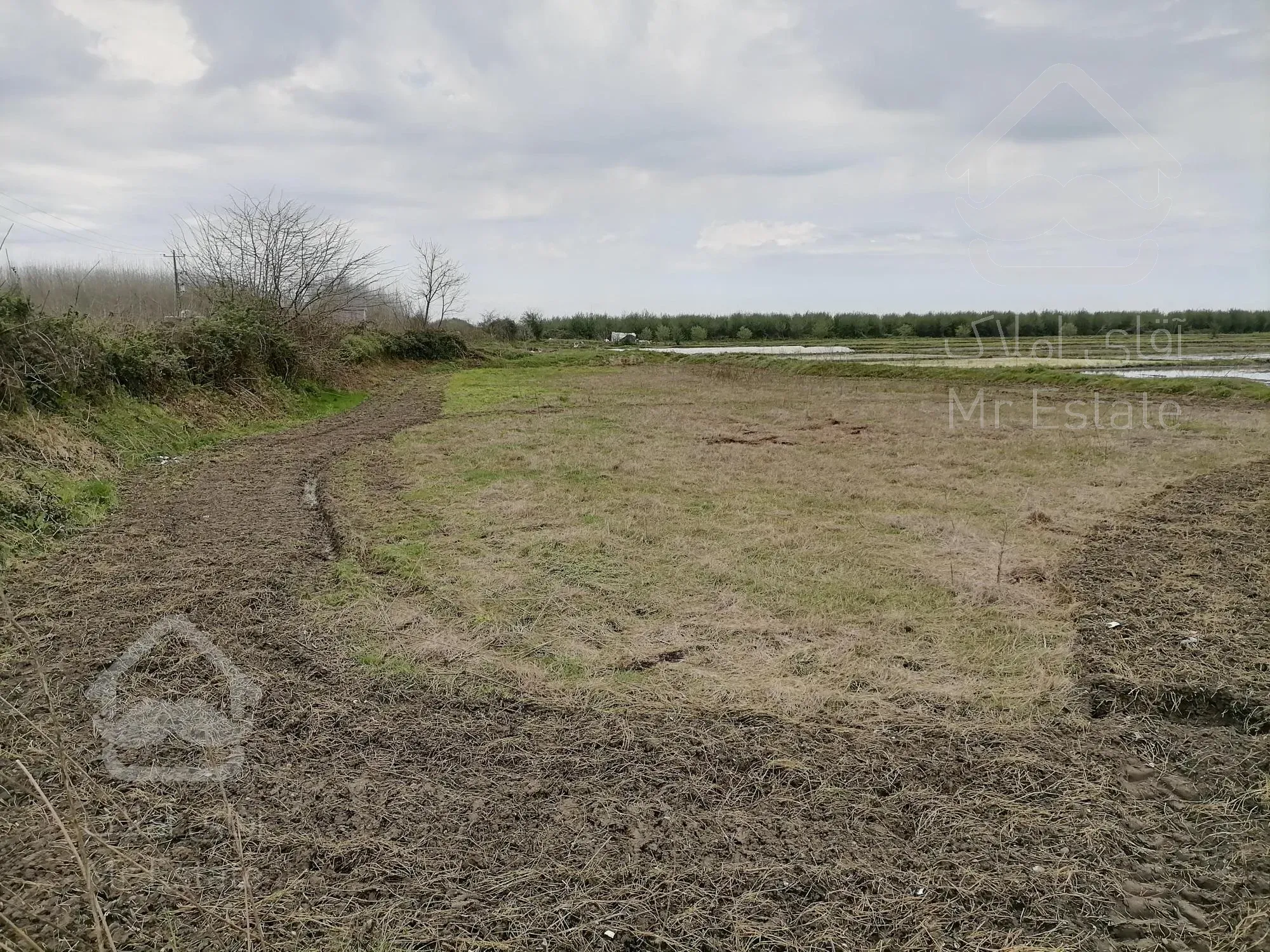 خرید شالیزار نزدیک دریابندرانزلی