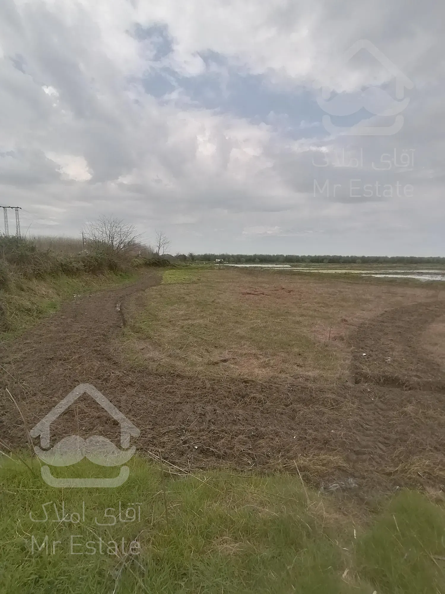 خرید شالیزار نزدیک دریابندرانزلی